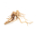 Spiderwood Large/XL - ohne Auswahl