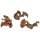 Garnelengarten® Curly Pods - 20 Gramm