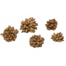 Garnelengarten® Star Flowers - 20 Gramm