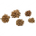 Garnelengarten® Star Flowers - 20 Gramm