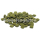 Tropical Shrimp-UP! Algae & Phytobiotics