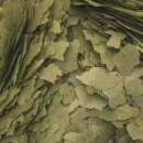 Tropical 3-Algae Flakes Flockenfutter