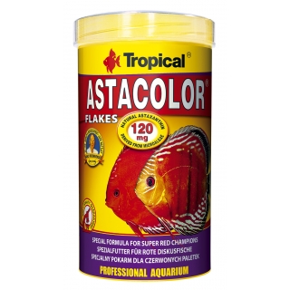 Tropical Astacolor