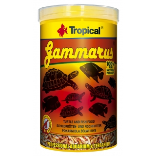Tropical Gammarus - Bachflohkrebse 100 ml