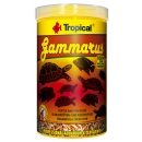Tropical Gammarus - Bachflohkrebse 250 ml