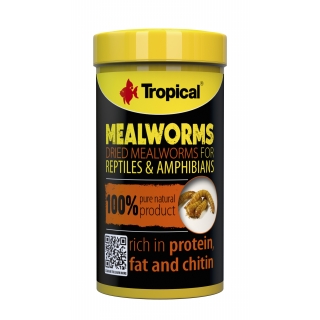 Tropical Meal Worms | getrocknete Mehlwürmer