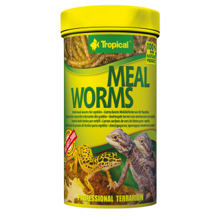 Tropical Meal Worms 100 ml