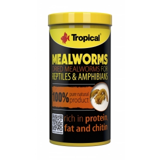 Tropical Meal Worms 250 ml