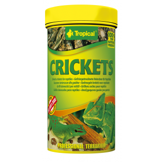 Tropical Crickets 100 ml
