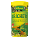 Tropical Crickets 100 ml