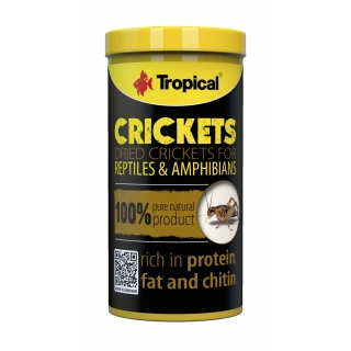 Tropical Crickets 250 ml