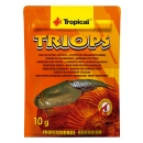 Tropical Triops 10 g