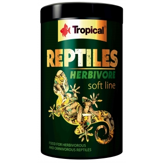 Tropical Reptiles Herbivore Soft Line