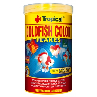 Tropical Goldfish Color