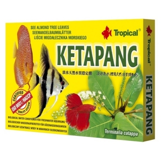 Tropical Ketapang - Seemandelbaumblätter im Filterbeutel