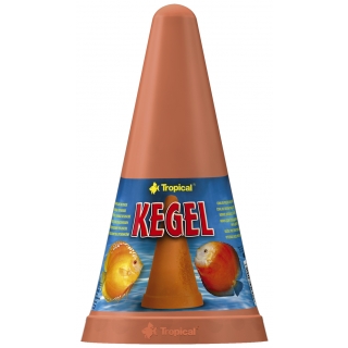 Tropical Diskus Kegel - Laichkegel