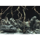 Aqua Nova Hintergrund Roots/Water