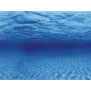 Aqua Nova Hintergrund Roots/Water L - 100x50 cm