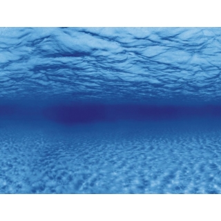 Aqua Nova Hintergrund Roots/Water XL - 150x60 cm