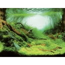 Aqua Nova Hintergrund Plants/Ocean S - 60x30 cm