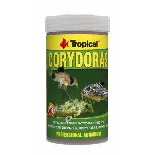 Tropical Corydoras - NEU